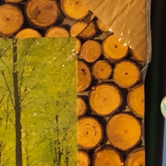 Vintage New Old Stock 5x7 Frameworks real branch slices frame - Picture 5 of 7